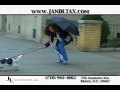J & L Tax Consultants Commercials