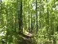 2008 WORS #3 - Big Ring Classic - 9 Mile Forest, Wausau, WI
