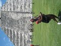 karinsart.com at chichen itza pyramid