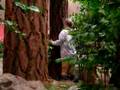 Treefucker 1