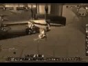 World Of Warcraft Fun