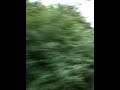 شاعر في بريطانيا - عبد الله عايد