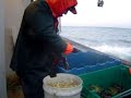 lobster fishing aboard the  Thunderbolt