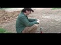 IUSTV bumper - Pat cactus ;15