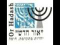Ahavat Olam