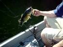 Lews Bass Fishing Opening Day Lews Bass Fishing Opening Day