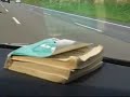 iZiN-YoLu-ALMaNYa