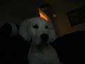Loffe pluggar Loffe pluggar