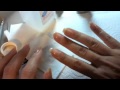 Gelish Nails part II ~ how to use your regular nail polish with a gel manicure!!