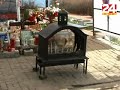 Trešnja kod svetišta kao simbol Tošina života