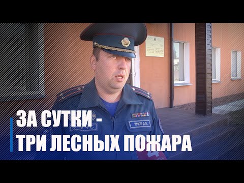 За сутки в Гомельской области потушены три лесных пожара видео