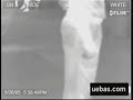 Vista previa del video ¿Cómo se ven los pedos/flatulencias?