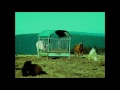 into the wild d\