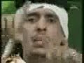 ابن الذيب
