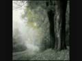 Trees Wallpaper