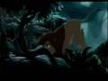 videos de Lion Trek.wmv