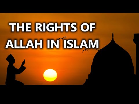 The Rights Of Allah (Huqooq Allah) In Islam – Quran for kids
