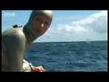 Humpback whale baby calf breathing-Diving With Whales- BBC Wildlife