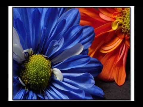 Michael Behm - Alone Again