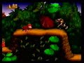 donkey-kong-country-barrel-cannon-canyon.html