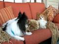 Where's the Birdie?