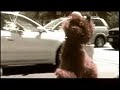 lil muppet monster