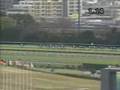 2004年日本盃ゼンノロブロイ(荒漠英雄)