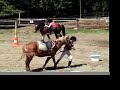 une journ�e au centre �questre poney cheval nature