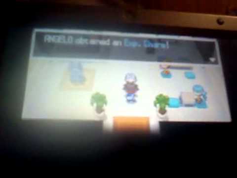 how to get xp share on pokemon black