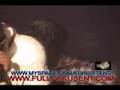 MIMS-PERFORMING-LIVE