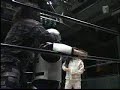 Mecha Mummy & Mecha Stanley vs The Mummy & Black Mummy