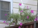 Leslie Hendricks Real Estate Video