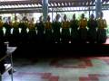 videos de Lomba Tari Saman di GSA