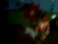 videos de Zupr zthar000
