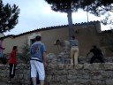 2� Vaca Enmaromada Palazuelo de Vedija 2008