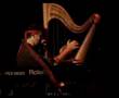 Jazz Harp Classical Fusion Music Australia Michael Cuming