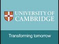 Risk, Security and Terrorism