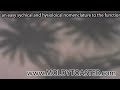 an easy sychical and hysioloical nomenclature to the functi.mov