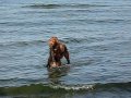 videos de Liza fetching seaweed