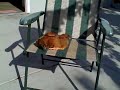 The Pet Chicken