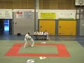 jiu-jitsu dan examen van hille onderdeel B te ede