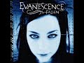 Evanecsence~Going~Under