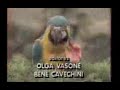 Globo Rural - Abertura 3