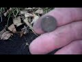 Video 42