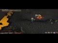 mage/melee 2