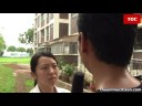 Herb Garden in Yishun Destroyed