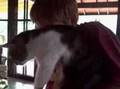 talking cat