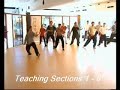 Tai Chi 太極拳 Seminar 24 Short Form