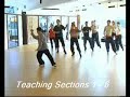 Tai Chi 太極拳 Seminar 24 Short Form