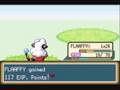 videos de Pokemon Shiny Gold Walkthrough Part 29